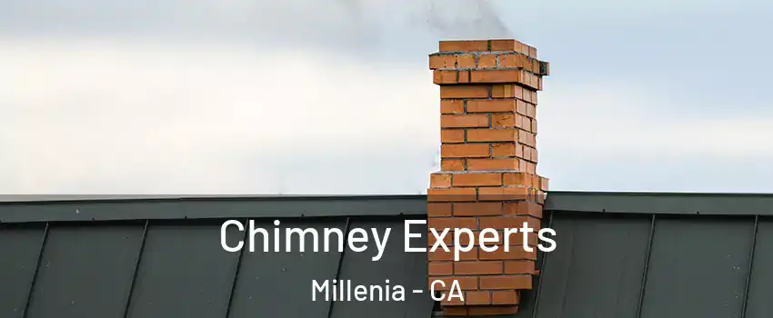 Chimney Experts Millenia - CA