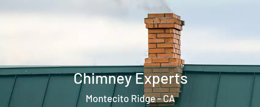 Chimney Experts Montecito Ridge - CA