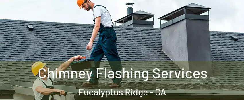 Chimney Flashing Services Eucalyptus Ridge - CA