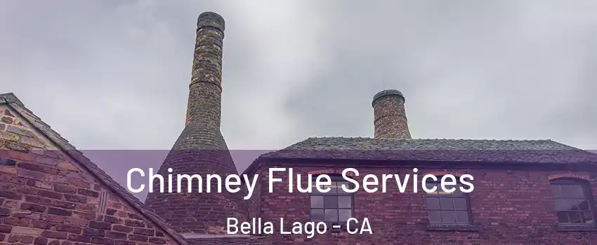 Chimney Flue Services Bella Lago - CA