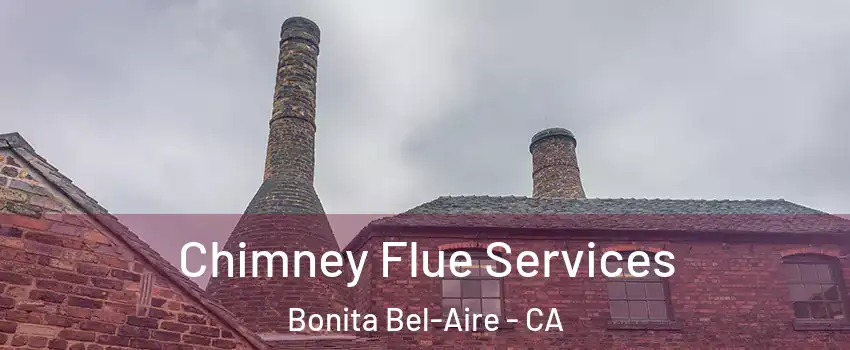 Chimney Flue Services Bonita Bel-Aire - CA