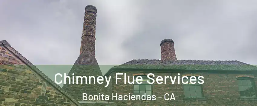 Chimney Flue Services Bonita Haciendas - CA
