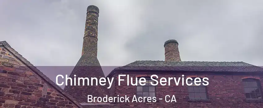 Chimney Flue Services Broderick Acres - CA