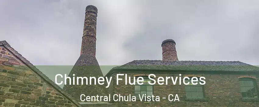 Chimney Flue Services Central Chula Vista - CA
