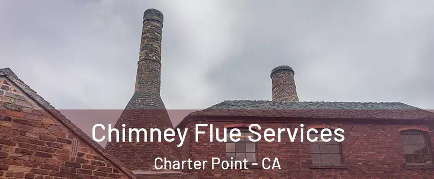 Chimney Flue Services Charter Point - CA