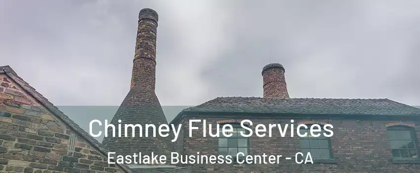 Chimney Flue Services Eastlake Business Center - CA