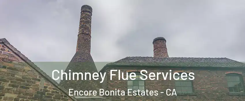 Chimney Flue Services Encore Bonita Estates - CA