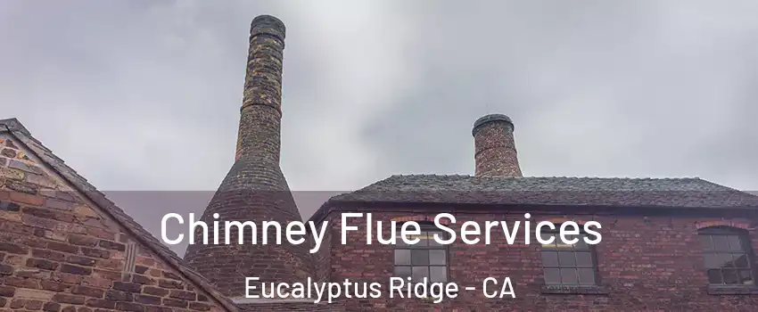 Chimney Flue Services Eucalyptus Ridge - CA