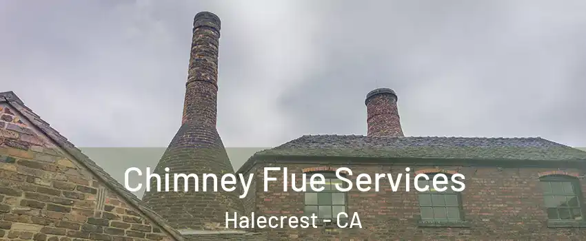 Chimney Flue Services Halecrest - CA