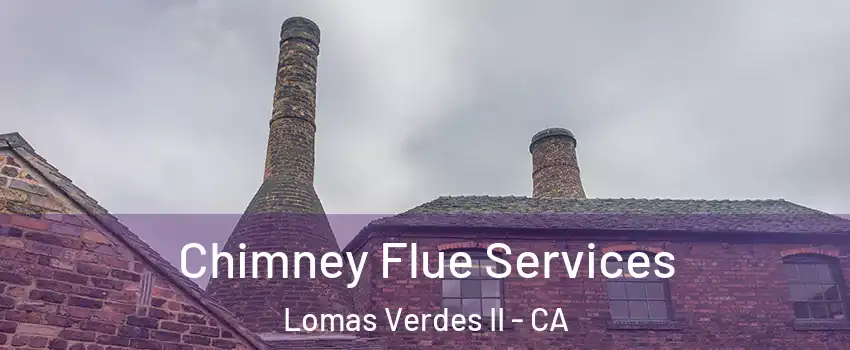 Chimney Flue Services Lomas Verdes II - CA