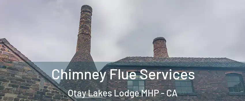 Chimney Flue Services Otay Lakes Lodge MHP - CA