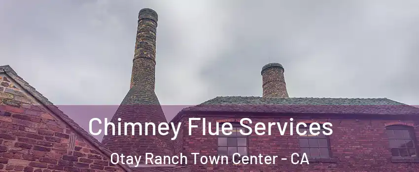 Chimney Flue Services Otay Ranch Town Center - CA