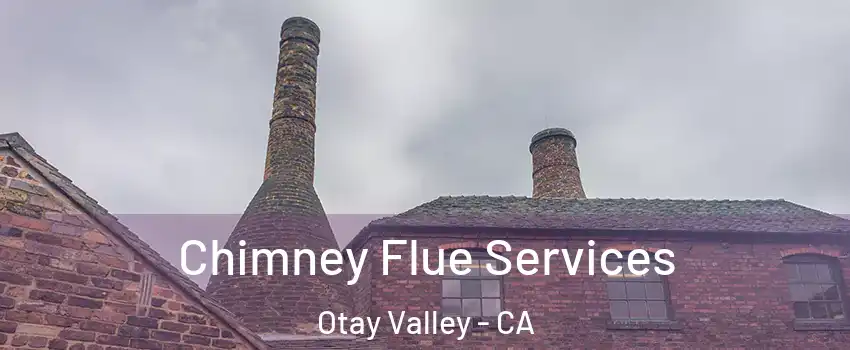 Chimney Flue Services Otay Valley - CA