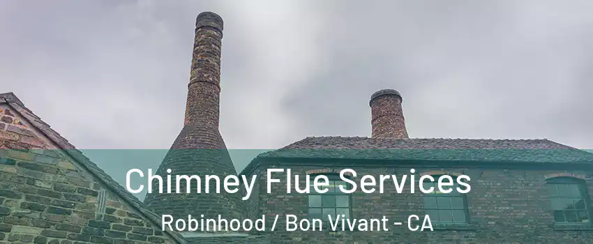 Chimney Flue Services Robinhood / Bon Vivant - CA