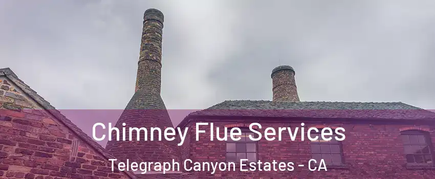 Chimney Flue Services Telegraph Canyon Estates - CA