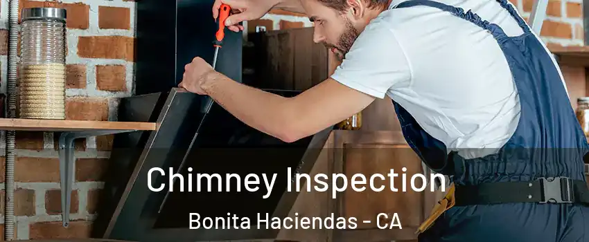 Chimney Inspection Bonita Haciendas - CA