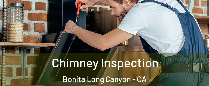 Chimney Inspection Bonita Long Canyon - CA