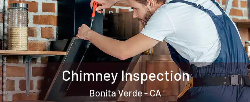 Chimney Inspection Bonita Verde - CA
