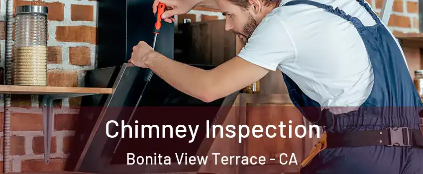 Chimney Inspection Bonita View Terrace - CA