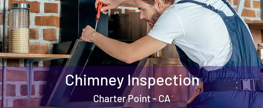Chimney Inspection Charter Point - CA