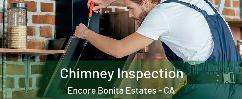 Chimney Inspection Encore Bonita Estates - CA