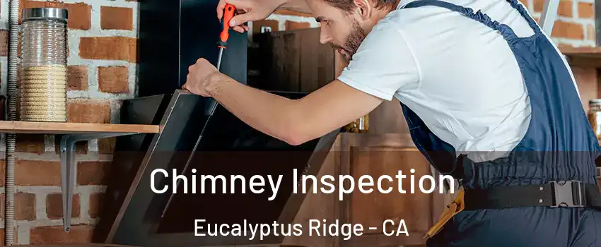Chimney Inspection Eucalyptus Ridge - CA
