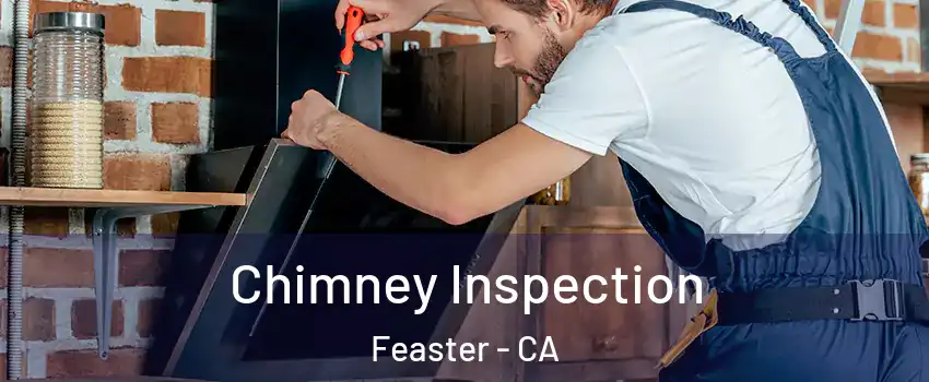 Chimney Inspection Feaster - CA
