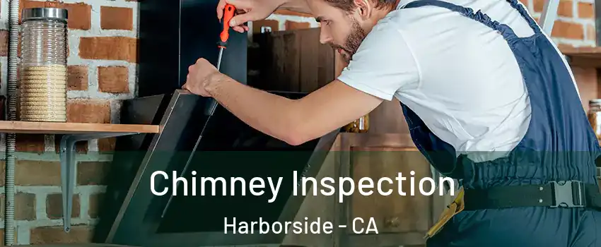 Chimney Inspection Harborside - CA