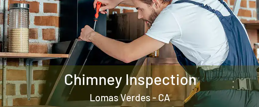 Chimney Inspection Lomas Verdes - CA