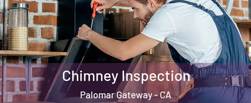 Chimney Inspection Palomar Gateway - CA