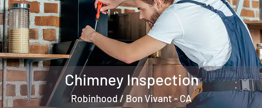 Chimney Inspection Robinhood / Bon Vivant - CA