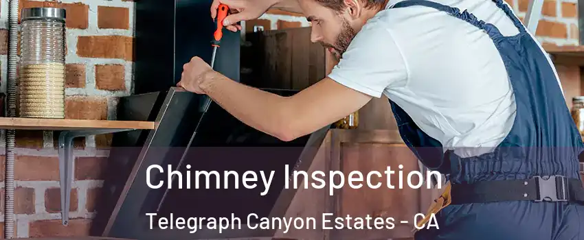 Chimney Inspection Telegraph Canyon Estates - CA