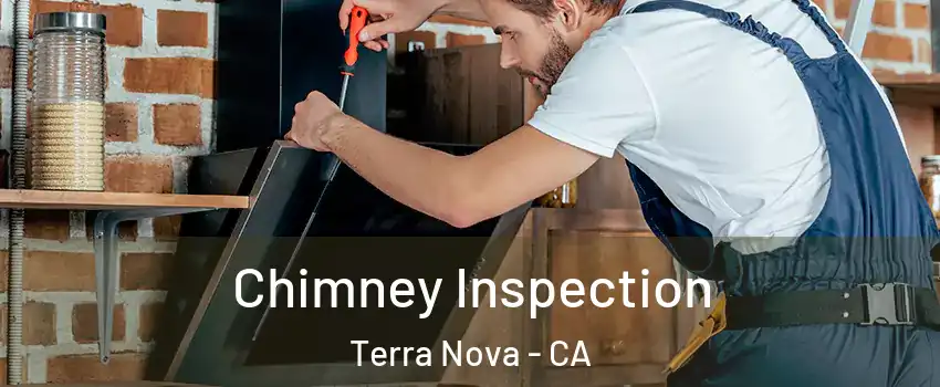 Chimney Inspection Terra Nova - CA