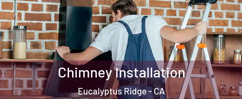 Chimney Installation Eucalyptus Ridge - CA