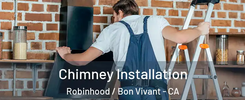 Chimney Installation Robinhood / Bon Vivant - CA