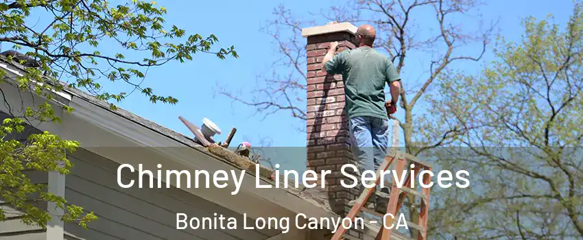 Chimney Liner Services Bonita Long Canyon - CA