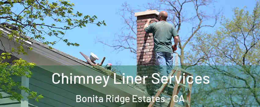 Chimney Liner Services Bonita Ridge Estates - CA
