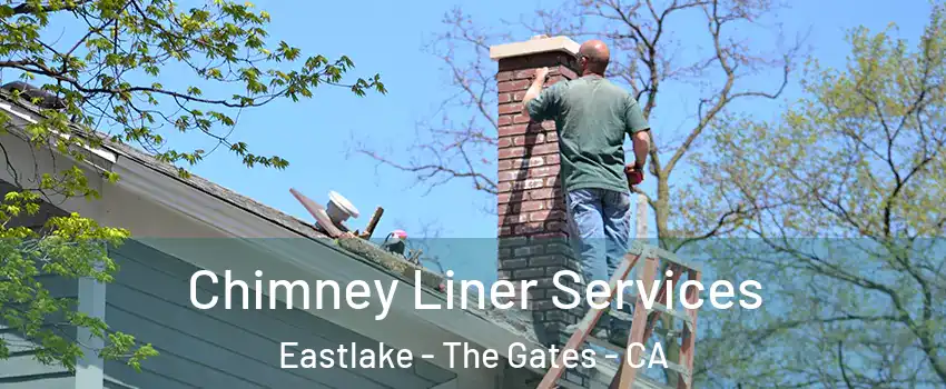 Chimney Liner Services Eastlake - The Gates - CA