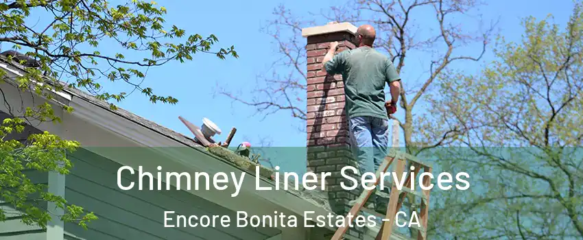 Chimney Liner Services Encore Bonita Estates - CA
