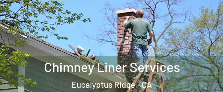 Chimney Liner Services Eucalyptus Ridge - CA