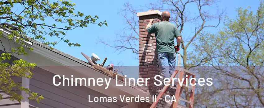 Chimney Liner Services Lomas Verdes II - CA