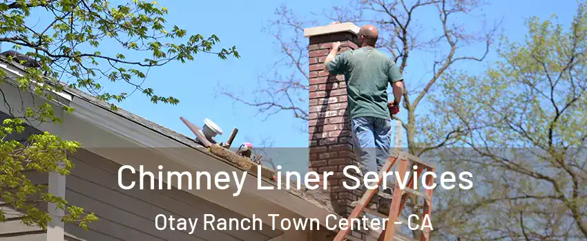 Chimney Liner Services Otay Ranch Town Center - CA