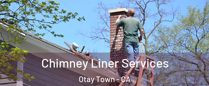Chimney Liner Services Otay Town - CA