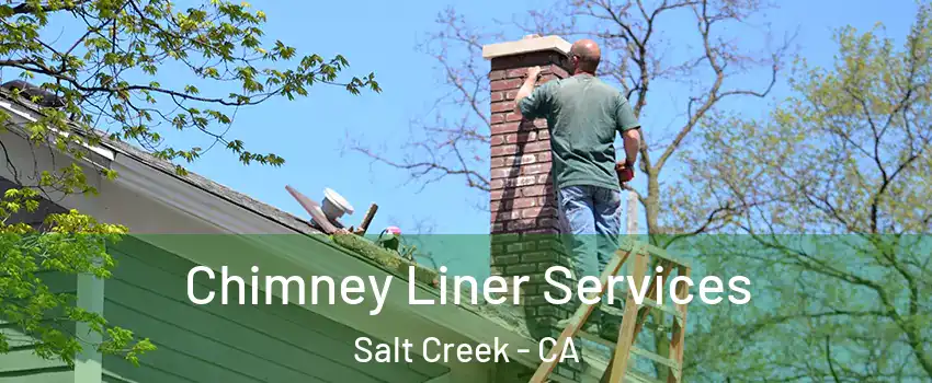 Chimney Liner Services Salt Creek - CA
