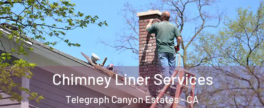 Chimney Liner Services Telegraph Canyon Estates - CA