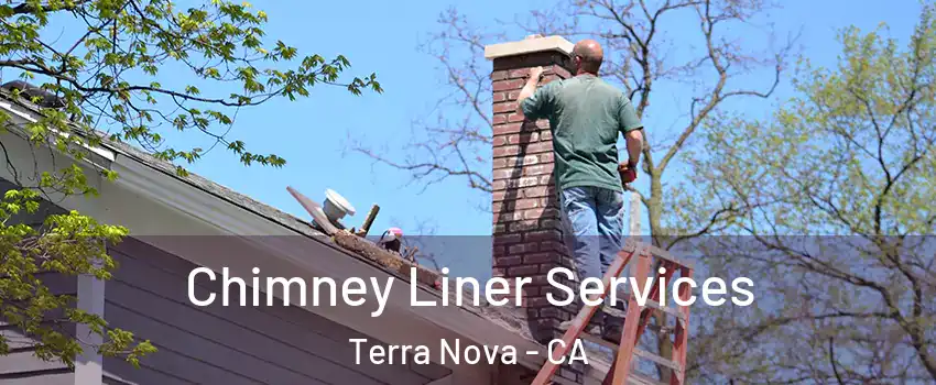 Chimney Liner Services Terra Nova - CA
