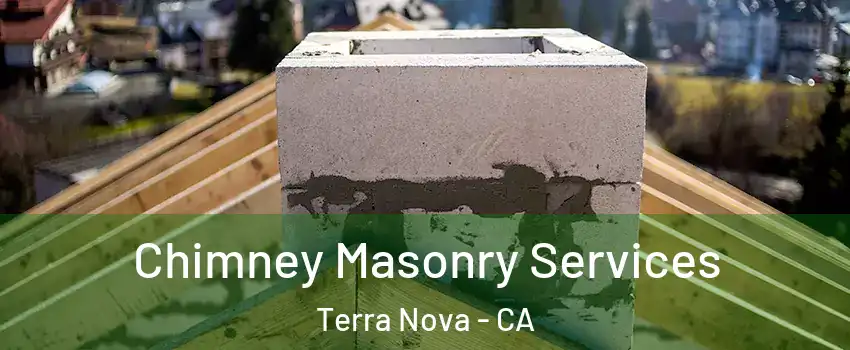 Chimney Masonry Services Terra Nova - CA
