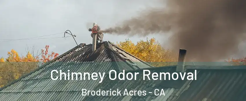 Chimney Odor Removal Broderick Acres - CA