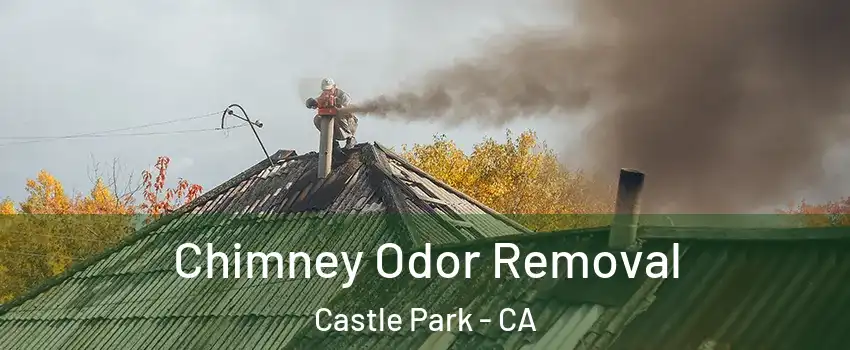 Chimney Odor Removal Castle Park - CA