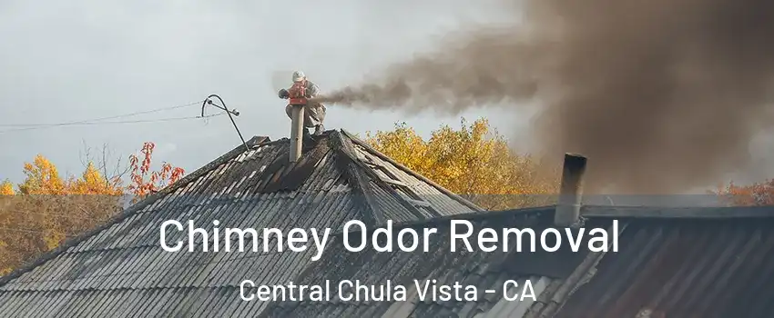 Chimney Odor Removal Central Chula Vista - CA